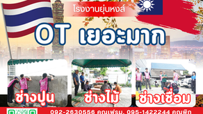 งานไต้หวัน งานดีๆ ที่ใครหลายคนรออยู่