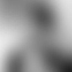 Salim Halali, le Prince du rythme