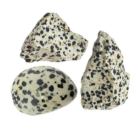 Dalmatian Jasper