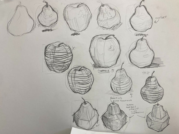 Fruit Still Lives - Studying different uses of line.