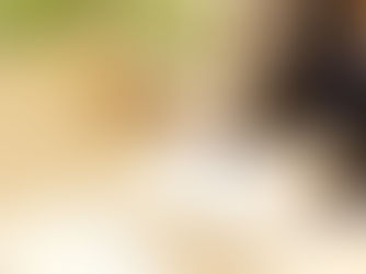 書類内容を説明している人