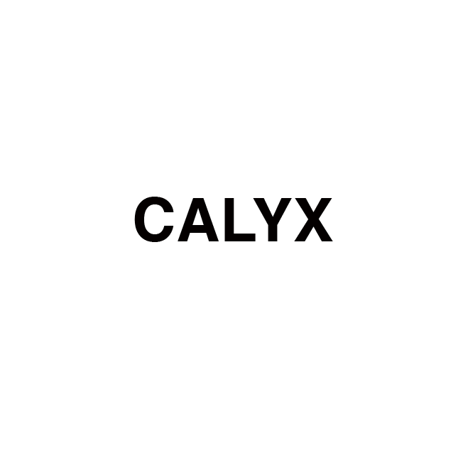 Thumbnail: CALYX | 16cm x 4cm