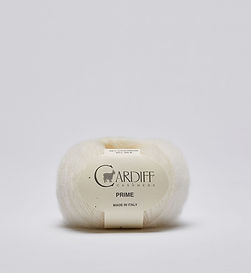 Cardiff Prime