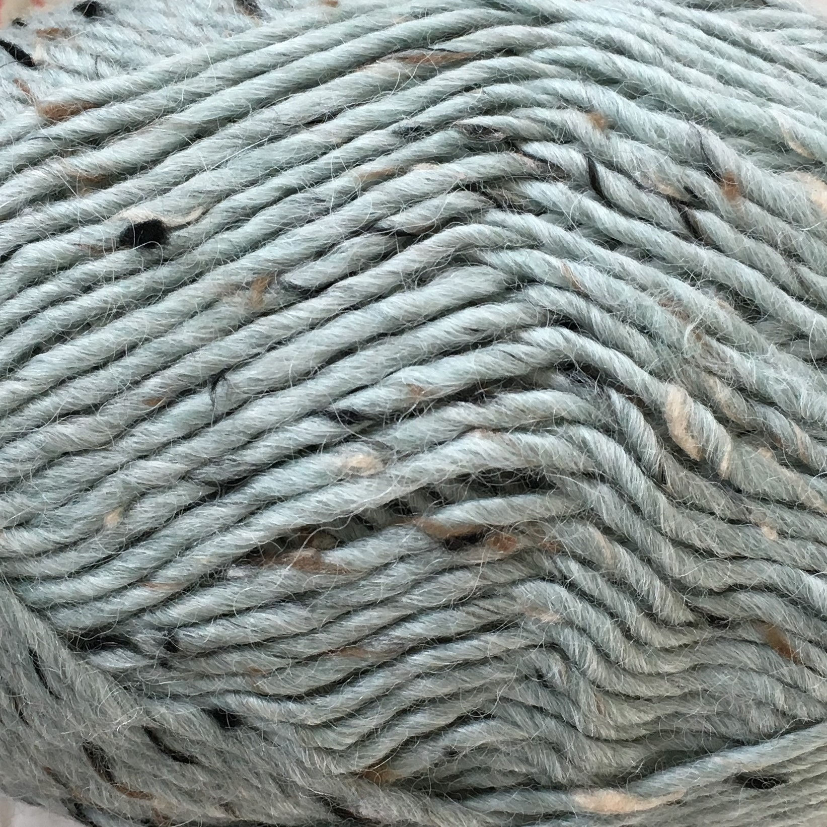 6462 Mint  Lamatweed