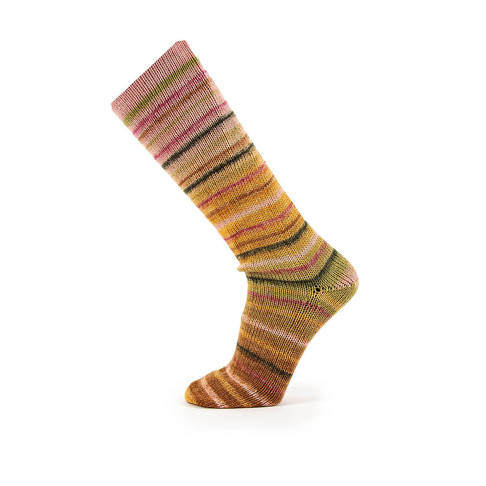 Garnknäuel Concept by Katia 4 PLY Symmetric Socks & More Paradise 40 - Rosé-Camel-Grün