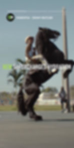 jimmy-horse copy.jpg