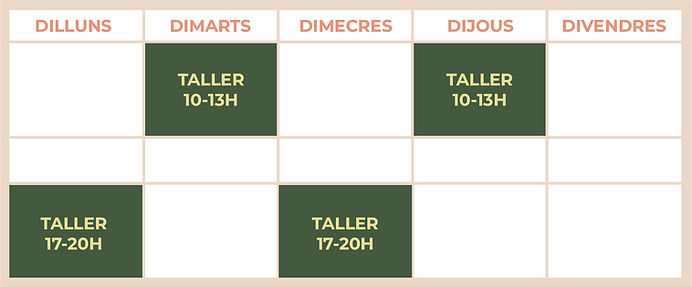 horari taller ceràmica