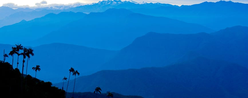 The landscape of El Dorado, Colombia, by Proaves.