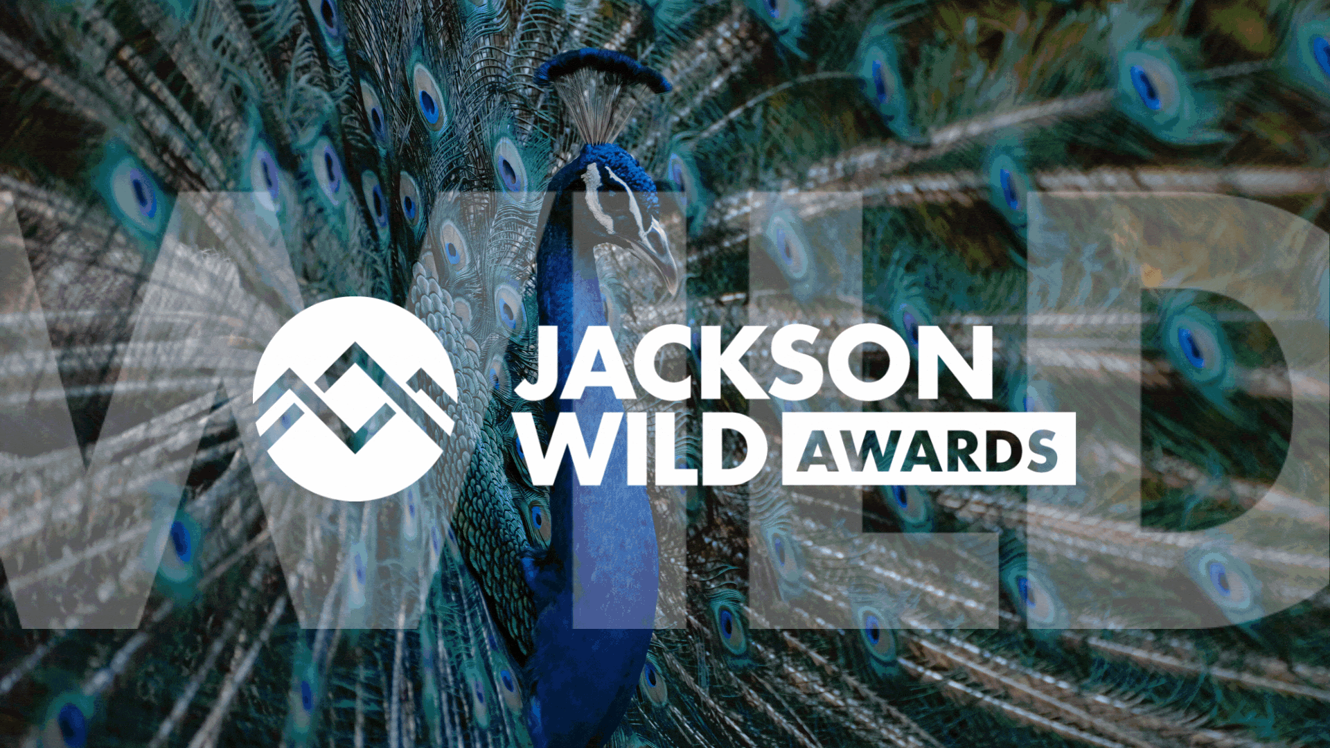 Enter the 2023 Jackson Wild Media Awards!