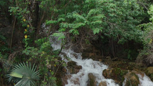 Critical Ecosystem Partnership Fund (CEPF) - Second Call for Proposals Now Open
