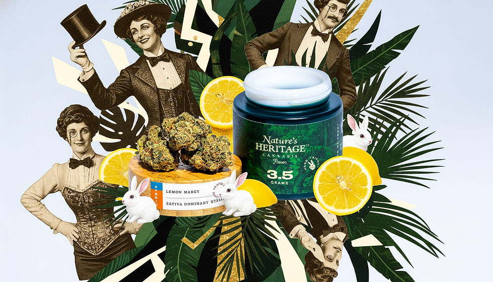 Alt Text A surrealist digital collage for Nature's Heritage cannabis showcasing a green glass jar of "Lemon Margy" flower. The jar is flanked by a wooden lid holding a cluster of cannabis buds. The background features a radial arrangement of monochromatic vintage portraits from the Gay Nineties, floating apple slices, blueberries, and tropical palm fronds. A white rabbit illustration with a golden crown is positioned at the top of the composition, all set against a neutral, off-white background.
