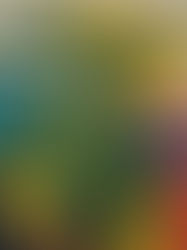 Weed Wallpaper: Bringing Cannabis Culture to Your Screen