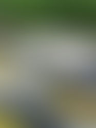 Lights, Camera, Coffee & Cannabis! A Behind-the-Scenes Look at Filming for Nature's Care and Wellness