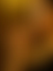 Golden Drops CBD: A Brand Born from a Personal Journey into CBD Wellness