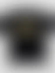 Weed Shirts: Where Art, Politics, Fashion, and Culture Collide