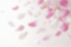 ChatGPT Image Jan 3, 2026, 09_24_58 AM_edited.jpg