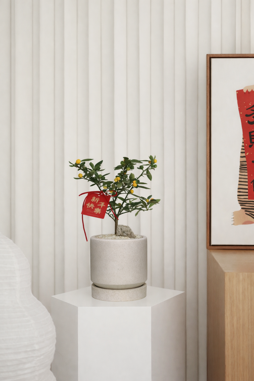 大吉大利 II (Prosperity) Mini Kumquat in ENKEL Teacup-Shaped Terrazzo Pot W12cm