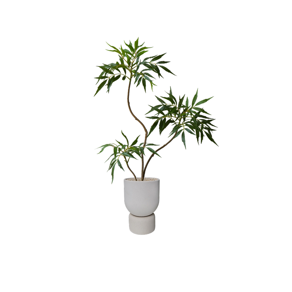 Thumbnail: Faux Berberis Fortunei H0.8m