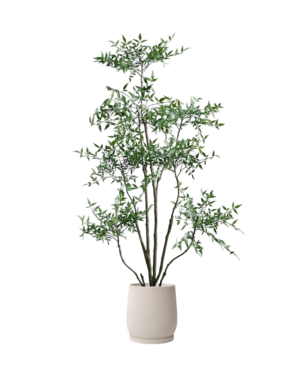 Thumbnail: Faux Nandina Domestica ‘Nandina Heavenly Bamboo’ H1.7m (7 Heads Green Leaves)