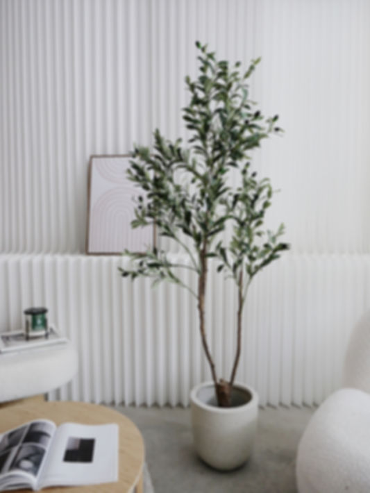 Faux Olive Tree (Real Wood Branches) (1.5M) in BERG Fibreglass Pot (28CM)