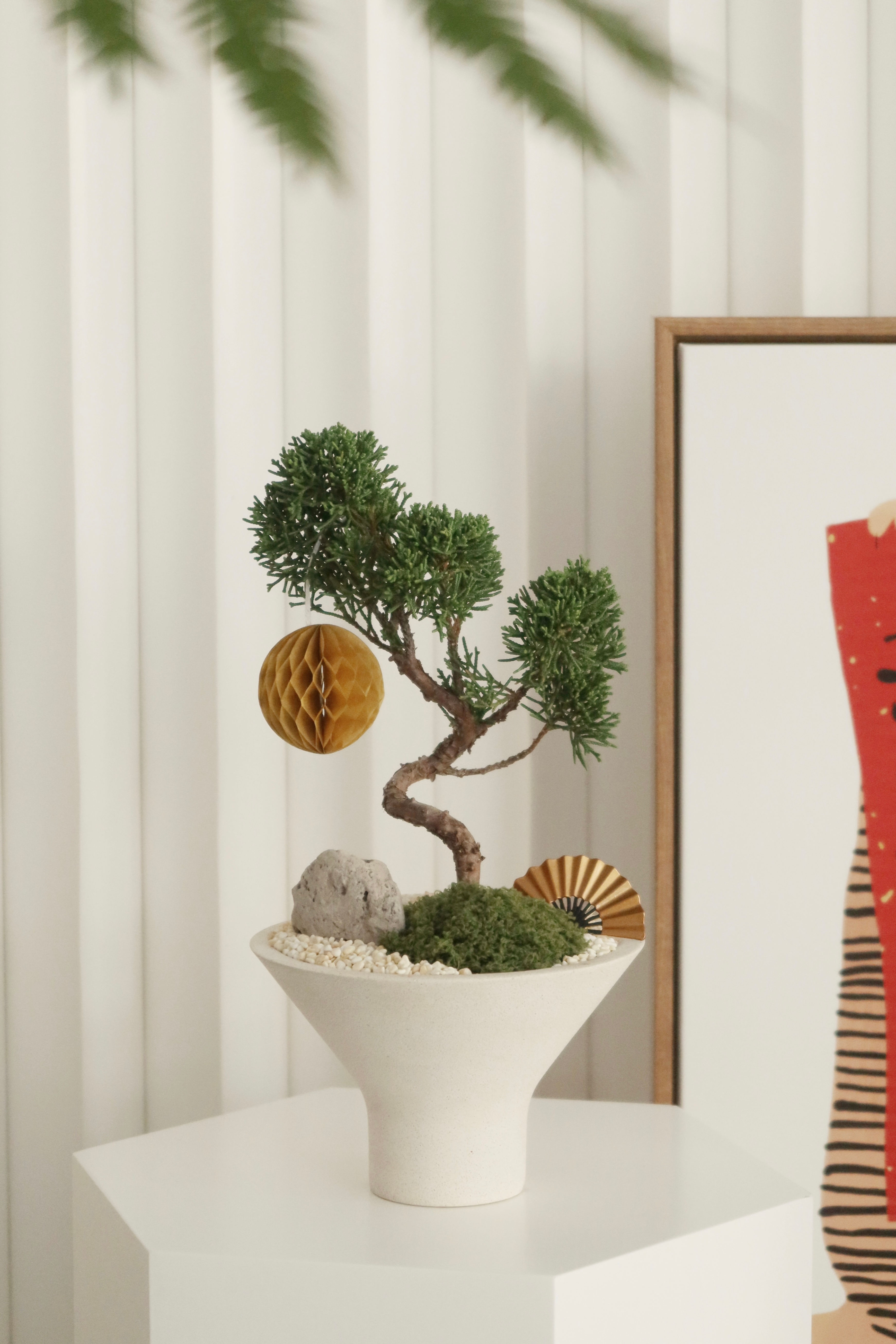 荣华富贵 (Prosperity & Wealth) Juniperus Chinensis Bonsai (S) in ENKEL Terrazzo Pot