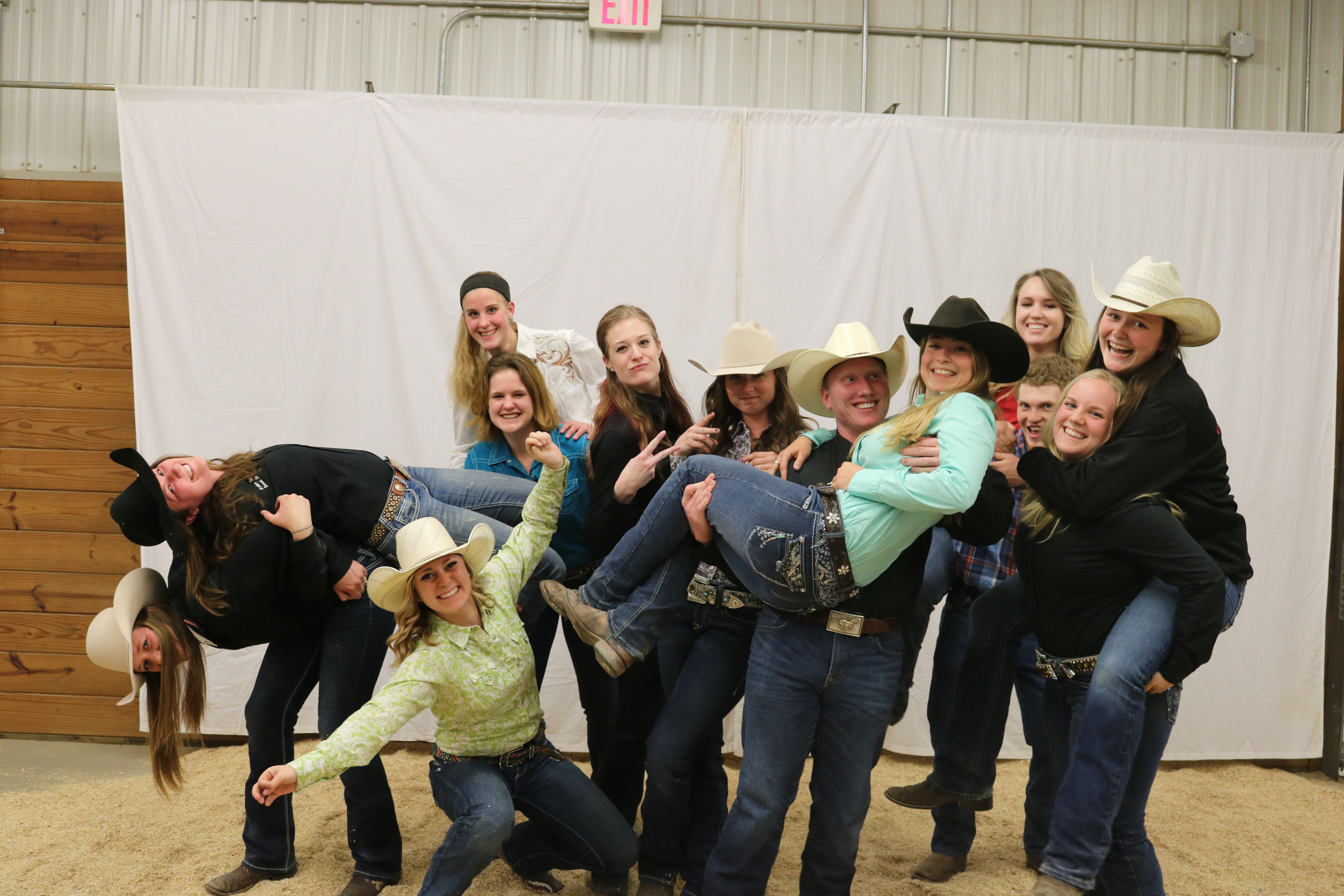 2017 Principles of Training Horses