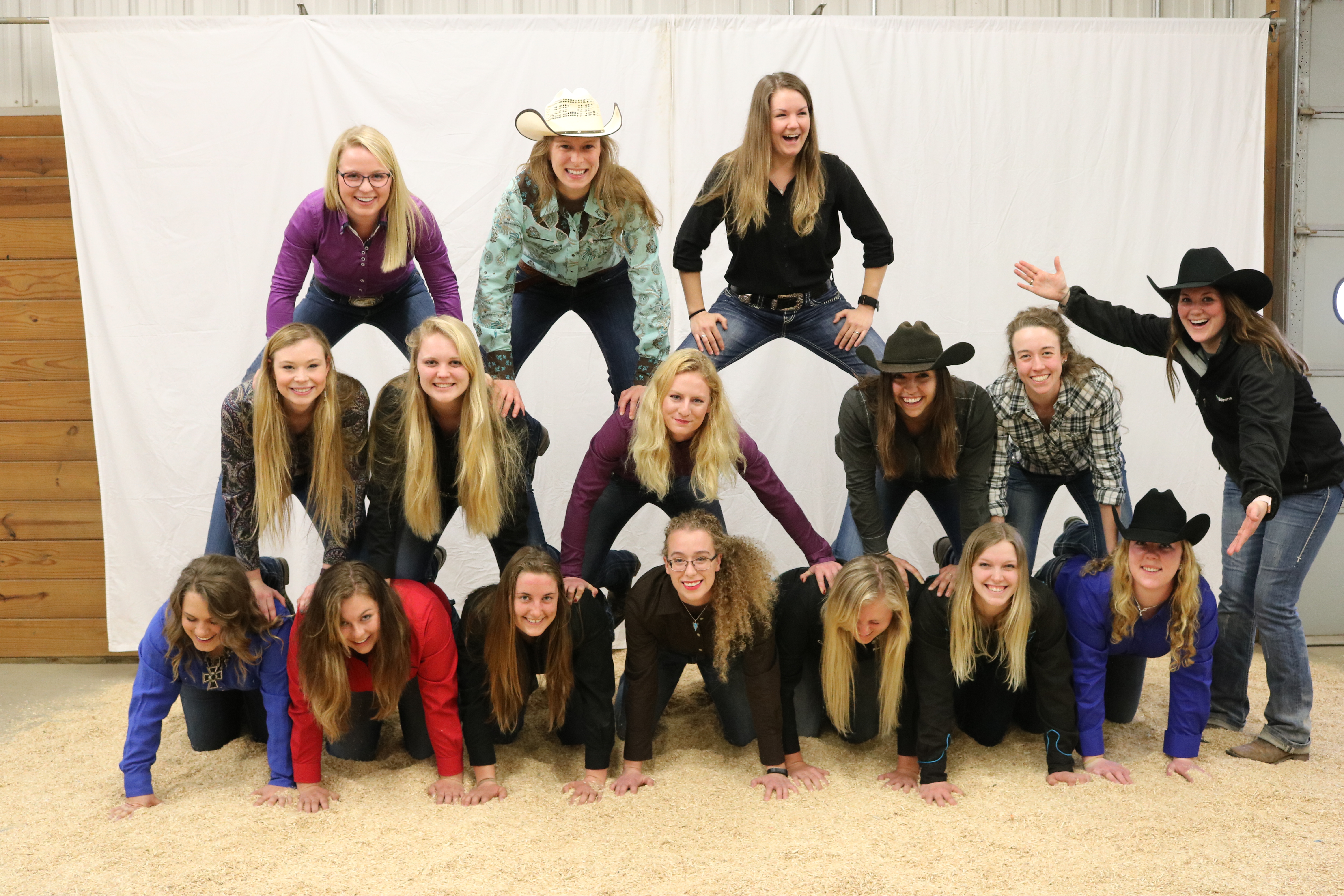 2017 Principles of Training Horses