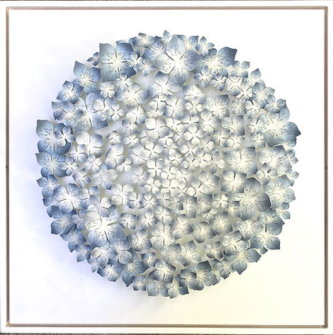 Susila Bailey-Bond, Hydrangea, paper on wire, 50 x 50cm, inside perspex case, woolff galle