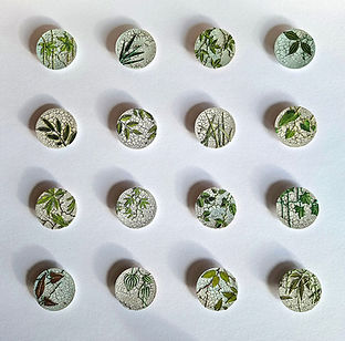 Lissie Plant 16 plant collages, woolff gallery.jpg
