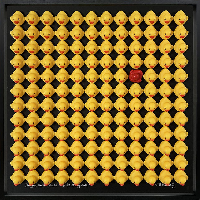 TP Hardisty, Do you think should... Rubber ducks inside box frame, 48 x 48cm