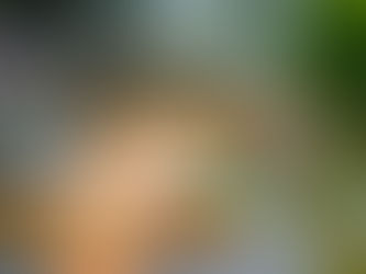 Custom wooden deck attached to a New Jersey home, built by Legacy Construction & Landscaping