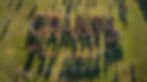 Image of a crowd of people. They are lined up so that they spell out "Grants".
