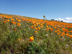 IMG_20190327_131307