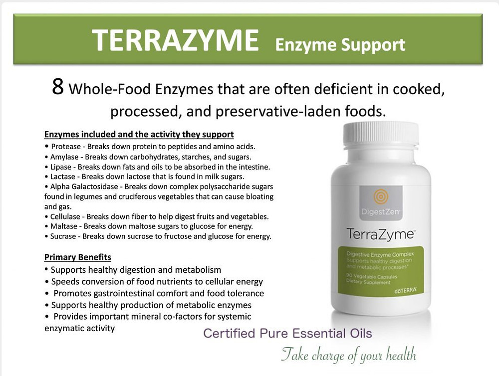 terrazyme-llv-lifelong-vitality-1024x772