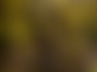 Weathering the Storms in Life