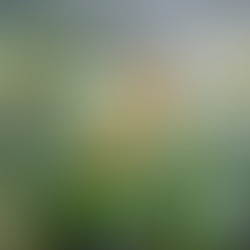 Aligning to the Spring Rains