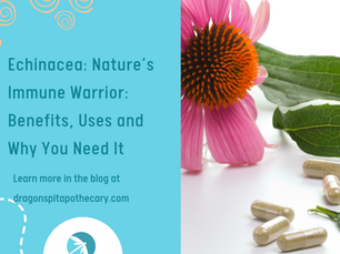 Echinacea Benefits and Uses
