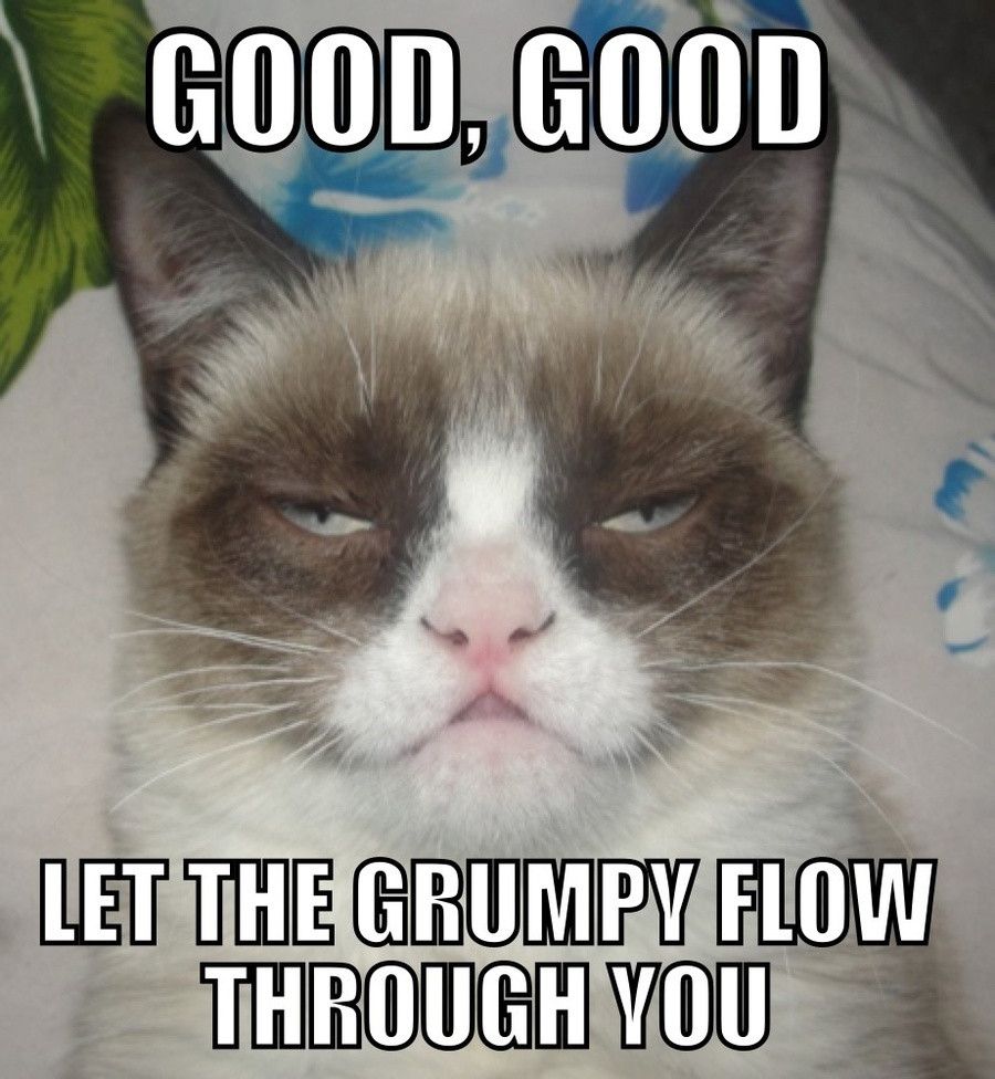 57141-grumpy-cat-darth-vader-meme-g-p5c0