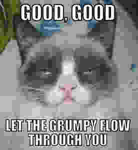 57141-grumpy-cat-darth-vader-meme-g-p5c0