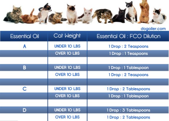 cat dilution
