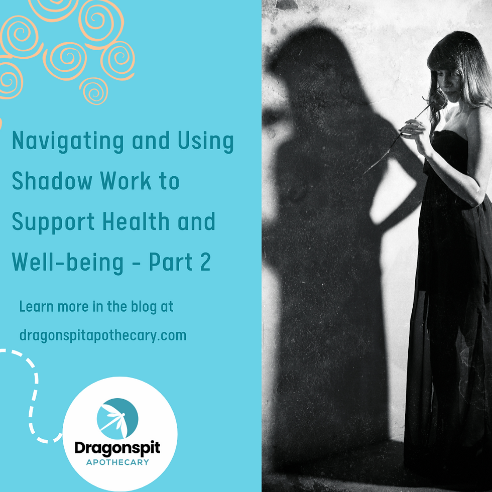 Shadow Work Guide for Beginners