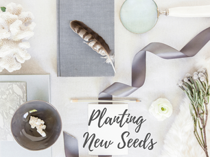 Planting New Seeds