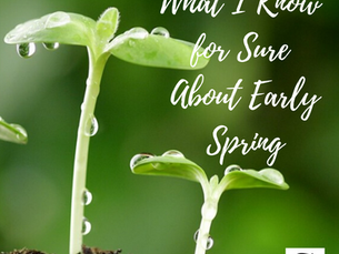 What I Know for Sure About Early Spring