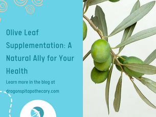 Olive Leaf Benefits and Uses