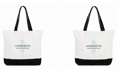 Bag 2021.PNG