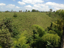 PAISAJE