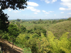 VISTA AL SENDERO