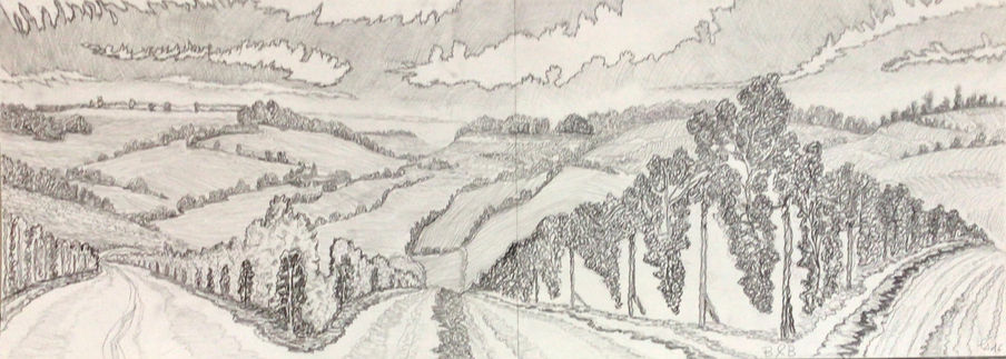 2022,les vignes dessin à la mine de plomb sur papier. 34x84 cm.