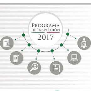 programadeinspeccionstps2017-17042020513