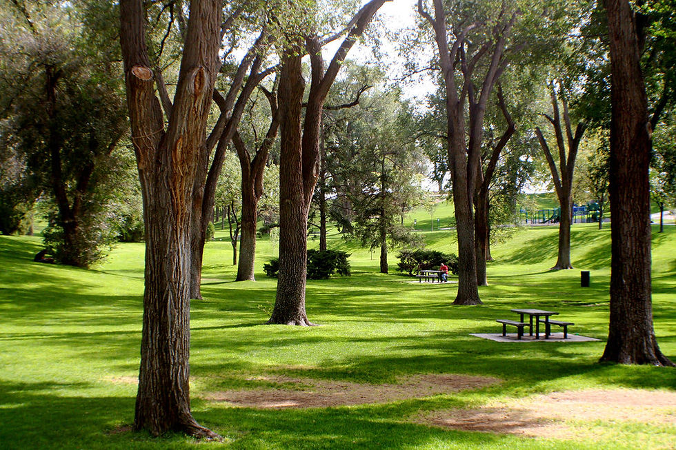 Granbury Dog Park